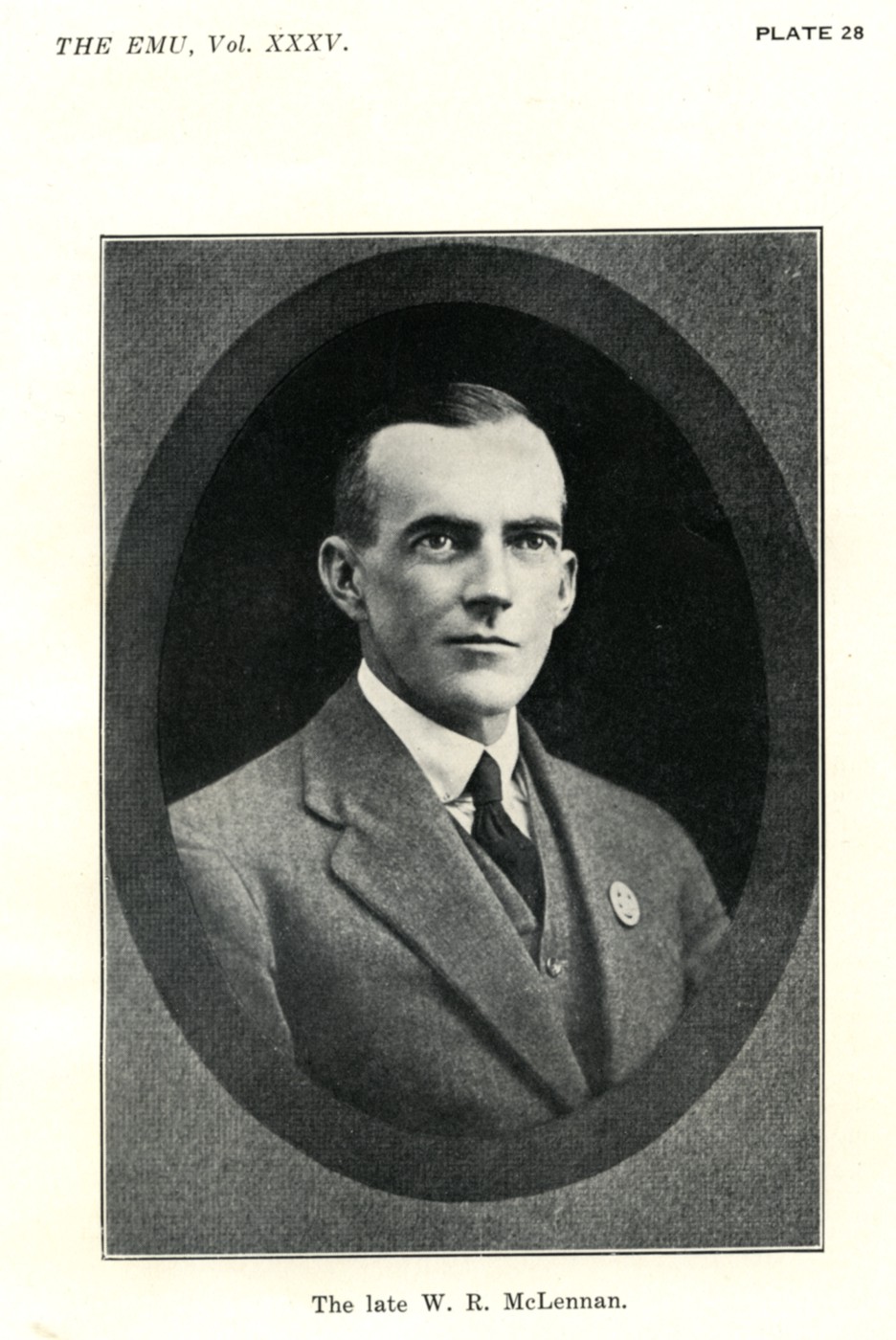 Photo of photos/William Rae McLennan d1935 Ornotholigist portrait
